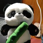 西洲li