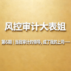 第6期 | 当我审计的领导,成了我的上司……