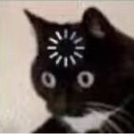 八仙
