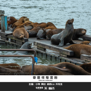 679.奇葩领导赏析