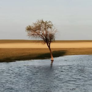 podcaster-avatar
