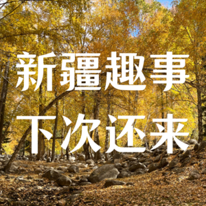 Ep7. 新疆之旅趣事锦集，很好，下次还去