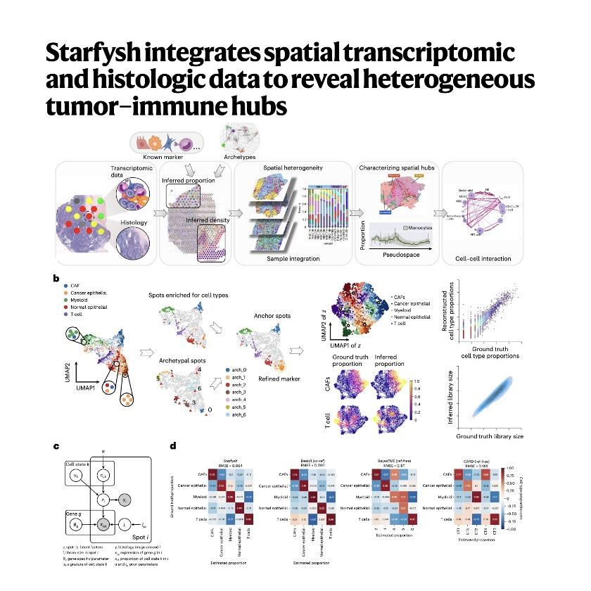 1159-Starfysh: Integrating Spatial & Histology data episode artwork