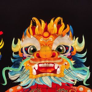 野人张弋