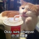 最近要吃啥