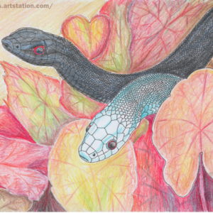 新年特辑：TikTok禁令和川币齐飞，中美博弈蛇年新战场：如何接招？