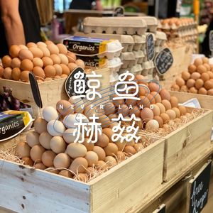 Vol.73 给你一颗鸡蛋，你要怎么吃它？
