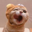 涧松斋的小学徒