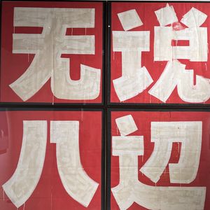 小宝鸽