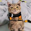 梅佐