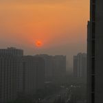 叶绿苏
