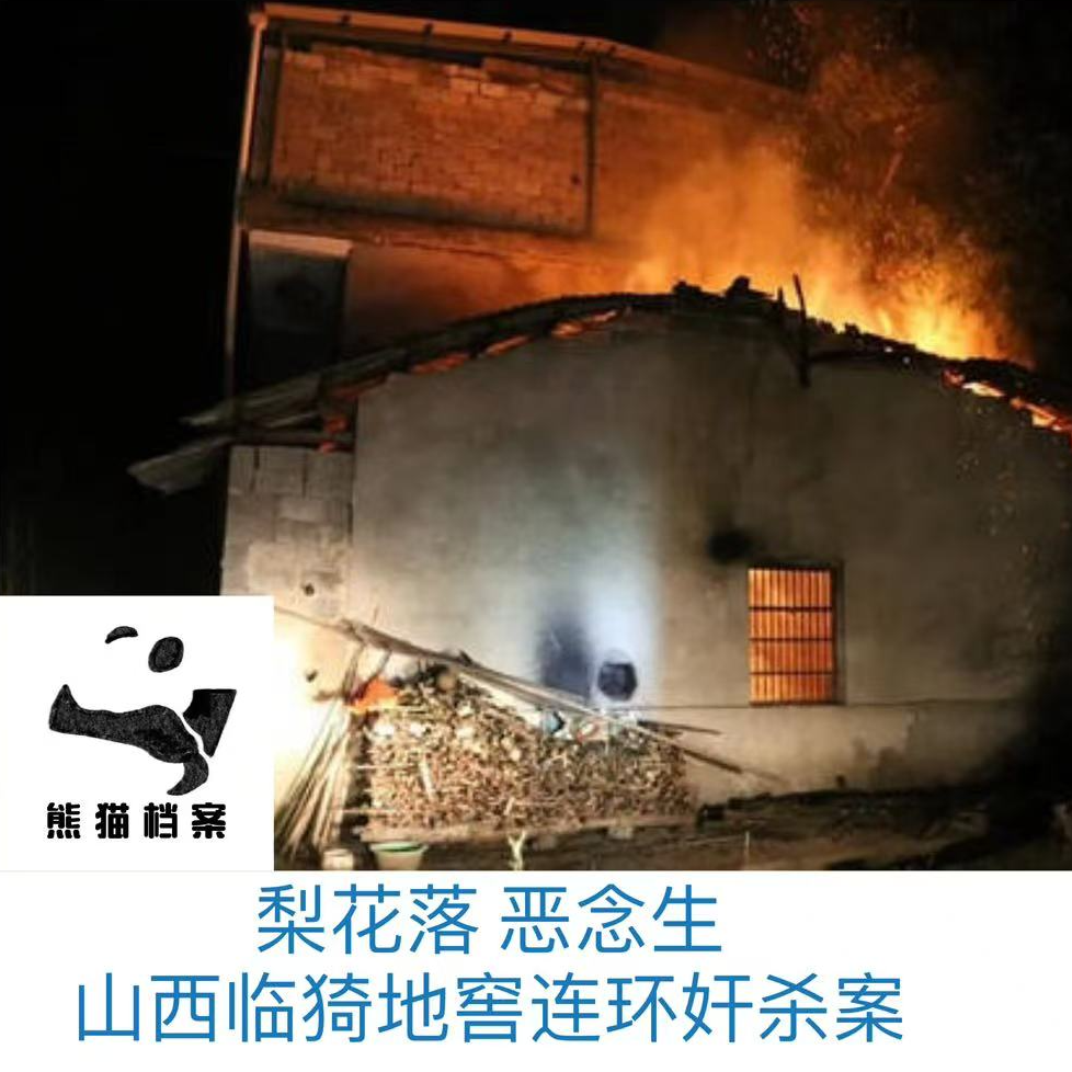 E03. 梨花落 恶念生:山西临猗地窖连环奸杀案