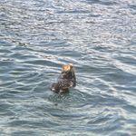 海伦lun