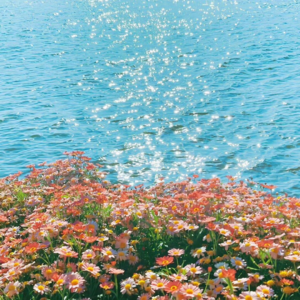 都说要好好爱自己，如何正确地好好爱自己？