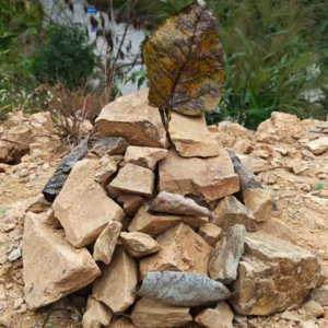 春节十日内观，打坐小白怎么熬