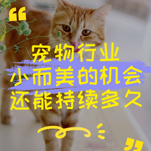 宠物行业小而美的机会还能持续多久？