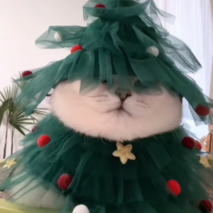 资本市场舆情解读【12月24日】