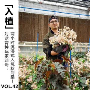 Vol.42 对话育种玩家迪哥,两小时沉浸式入坑秋海棠!
