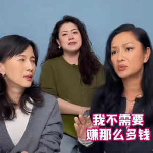 003瞿颖翻红启示录：我们的FIRE生活与狗屁工作