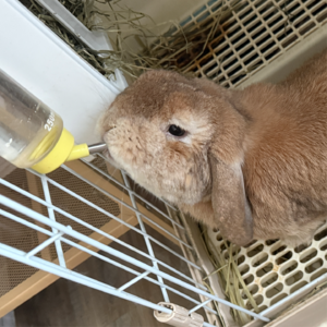 当别人对你说不要做，究竟能不能去做呢 📅 Jul.25