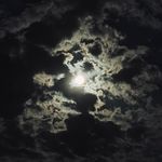 Novalism2096