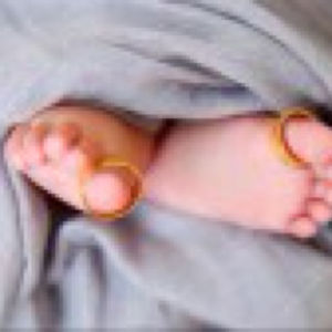现代经济运行的双层货币体系