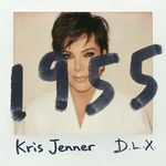 Aaa晶片颜料钻石批发