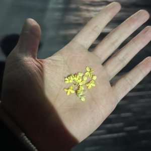 Vol.26 约会歌单 Way back into love