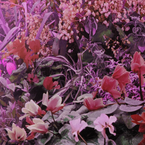 【Jué Music】43:音乐疗愈屋