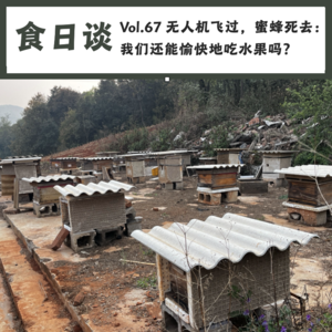 无人机飞过，蜜蜂死去：我们还能愉快地吃水果吗？| Vol.67