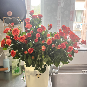 用实际行动去影响想要影响的那些人获得的快乐也很多哎