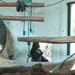 世上有个长不大的你呀