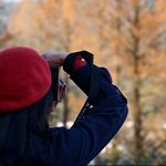 幸福小猪不属猪