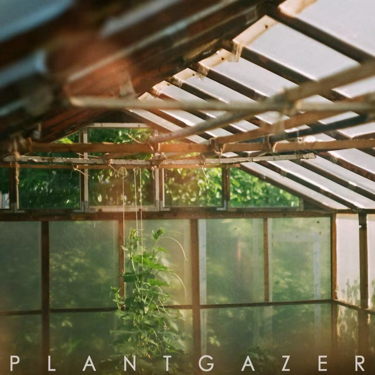 Plantgazer by Show Me A Dinosaur episode artwork