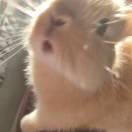 later_ooDY