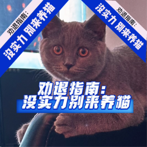 劝退指南:没点实力,别来养猫