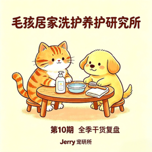 【毛孩居家洗护养护研究所】 第 10 期 全季干货复盘|猫狗全年皮毛养护闭环计划表,内调 + 外护一站式收纳