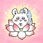 煎饺吉嘠脆