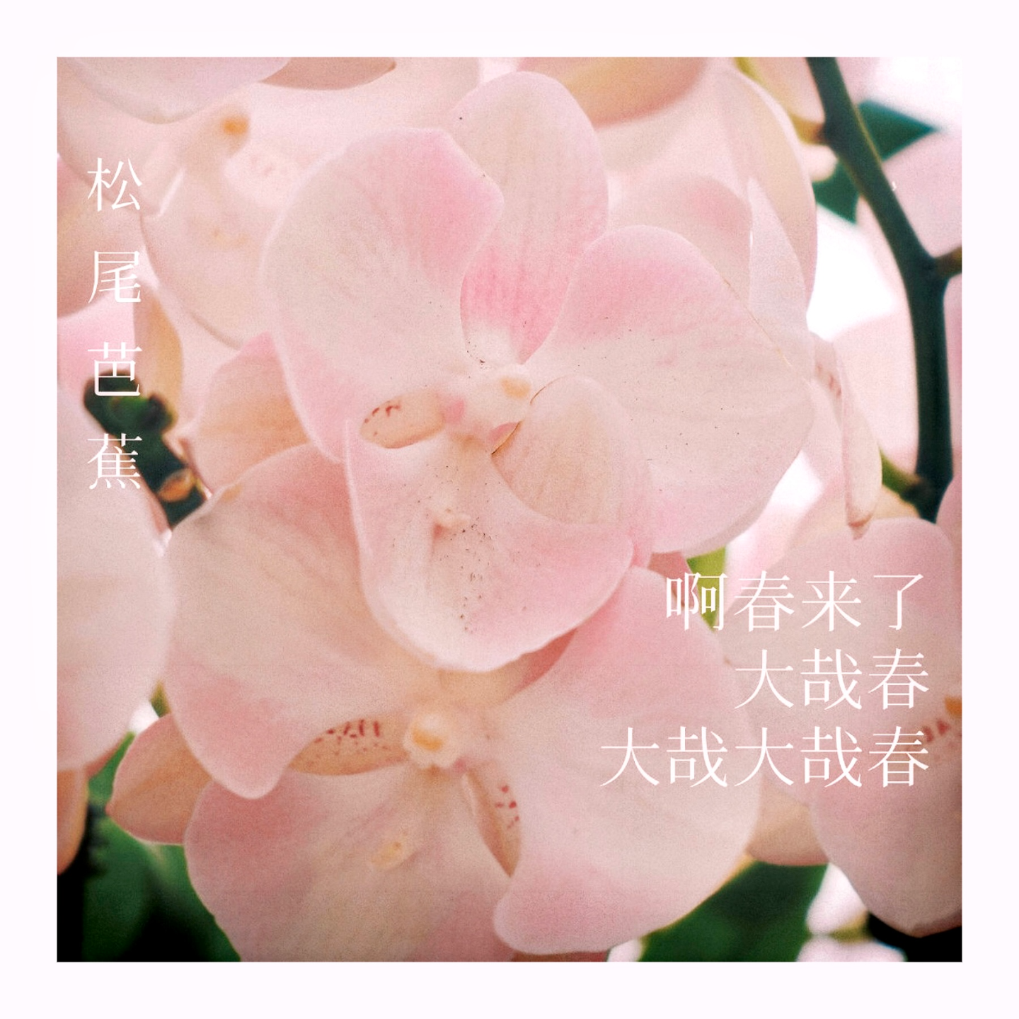 EP54 我想要和你一起闻闻新鲜的春天！ episode artwork