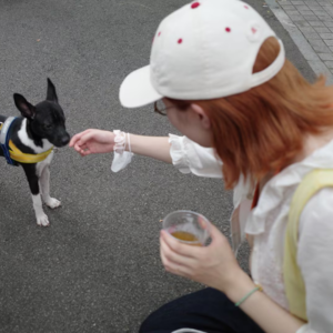 07.剪短头发把自己换新