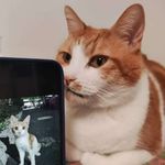 fayethinking