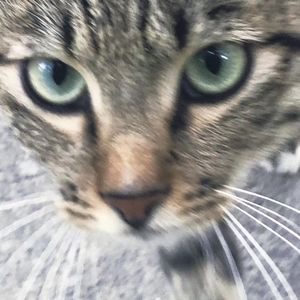 podcaster-avatar