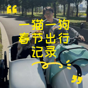 一猫一狗春节出行记录