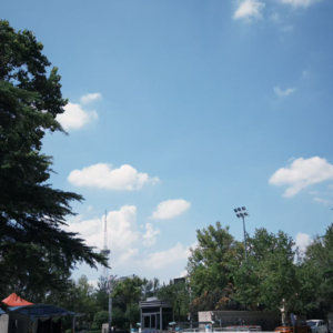 E017 上班哪有不疯的，聊一聊步入职场的初体验