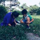 Doris_7r1w