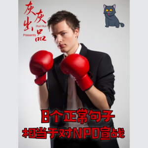 8个正常句子相当于对NPD宣战