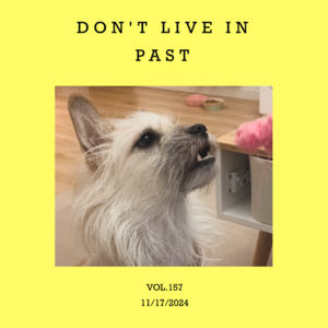 vol.157:这不是一对太念旧的耳朵