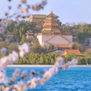 9. 春天的旋律：快来领取你的春日BGM