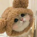 知南茶温暖_4XSQ