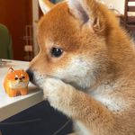 猕猴桃烤面包